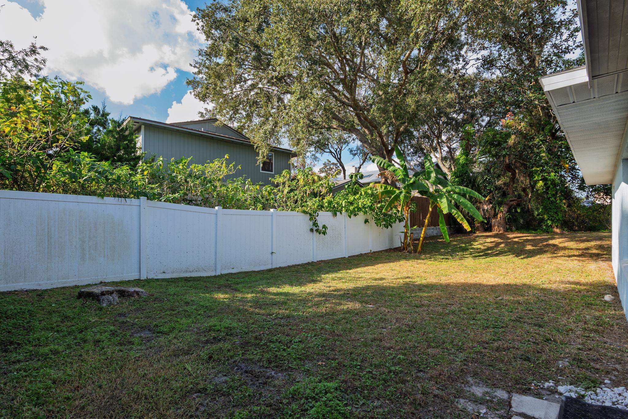 16 Ewing Street St. Augustine Beach, FL 32080 - Photo 49 of 55 a view of a yard
