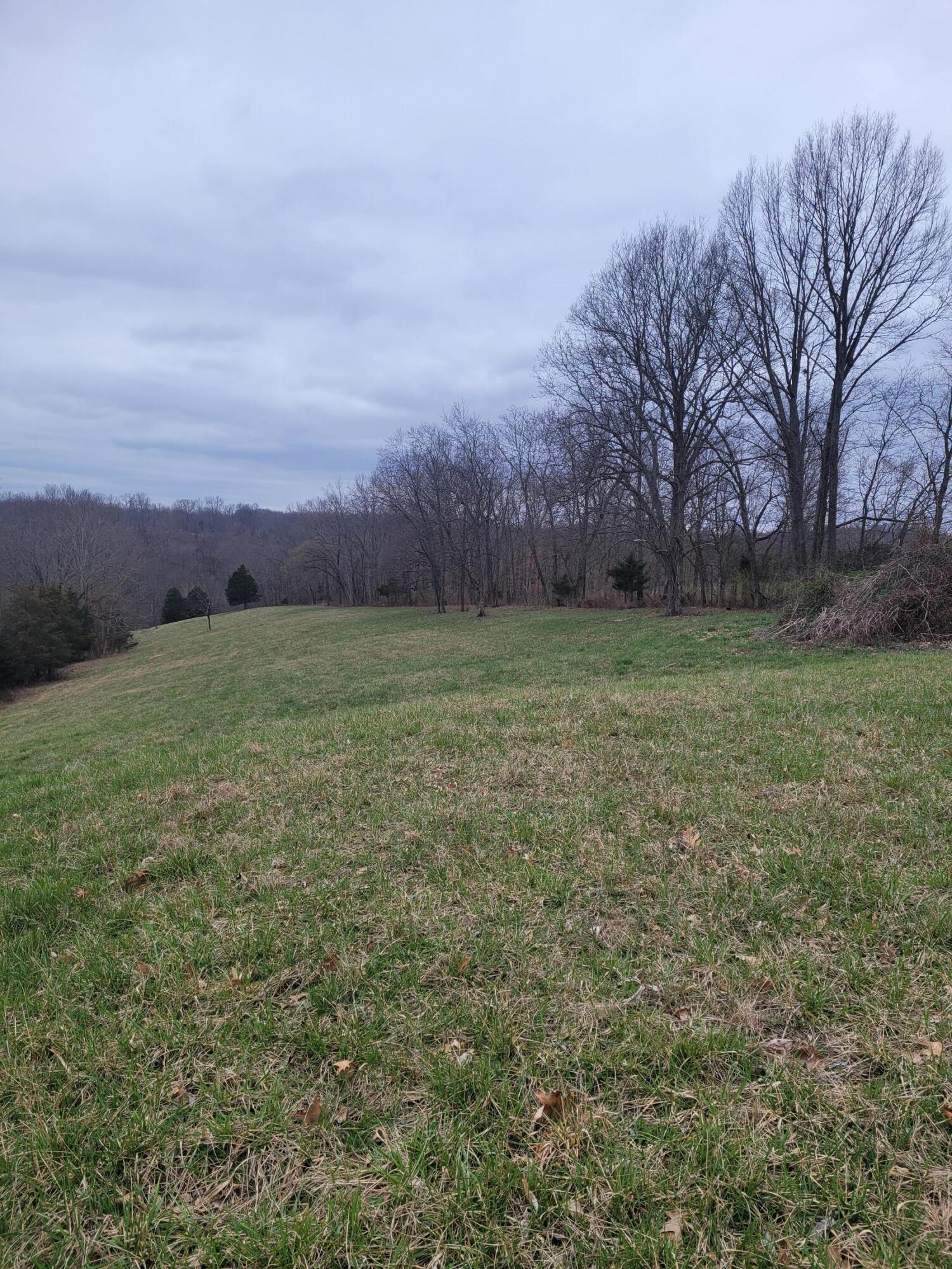 0 Osborne Road Dry Ridge, KY 41035 - Photo 5 of 6