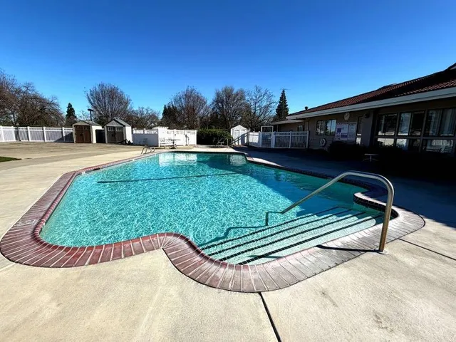 a view of a swimming pool with a garden