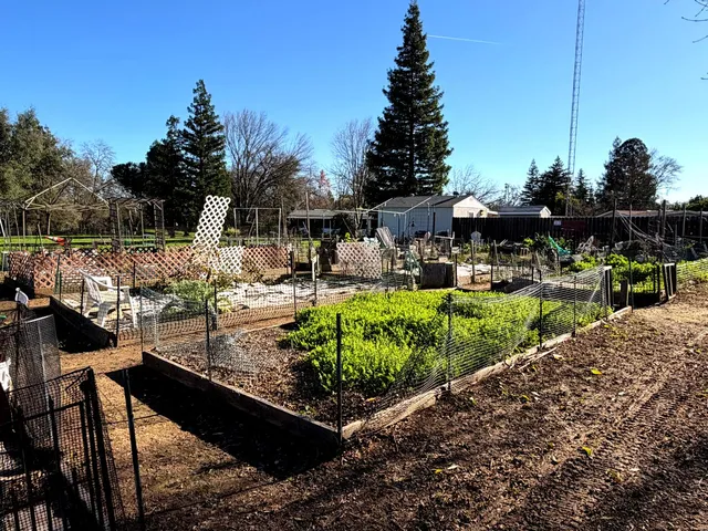 a view of a garden with sitting area