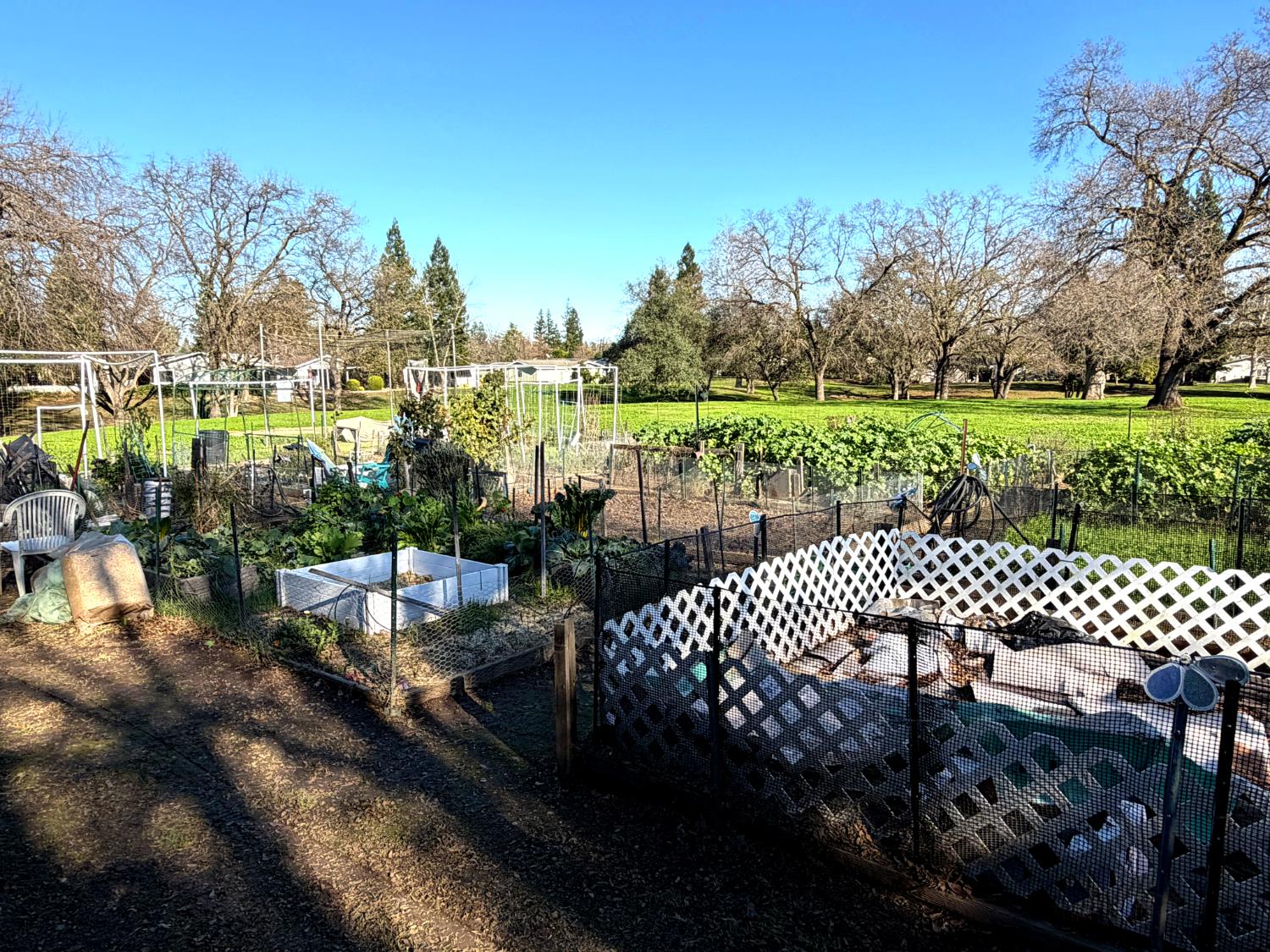 6104 Meiggs Court Citrus Heights, CA 95621 - Photo 34 of 42