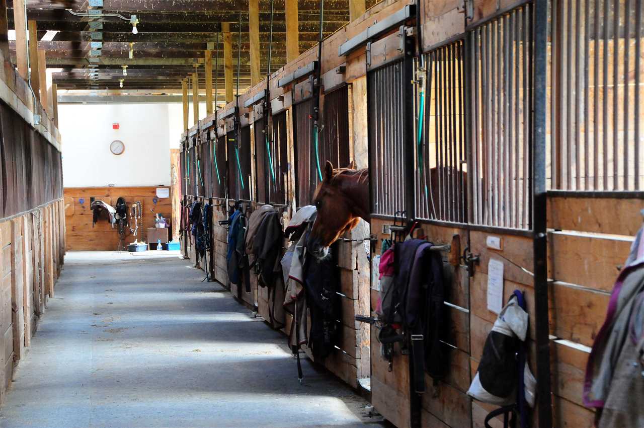 322 River Road Newfane, VT 05345 - Photo 23 of 40