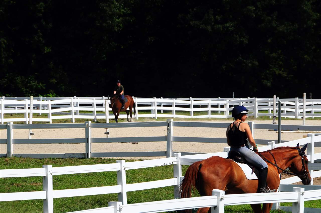 322 River Road Newfane, VT 05345 - Photo 29 of 40