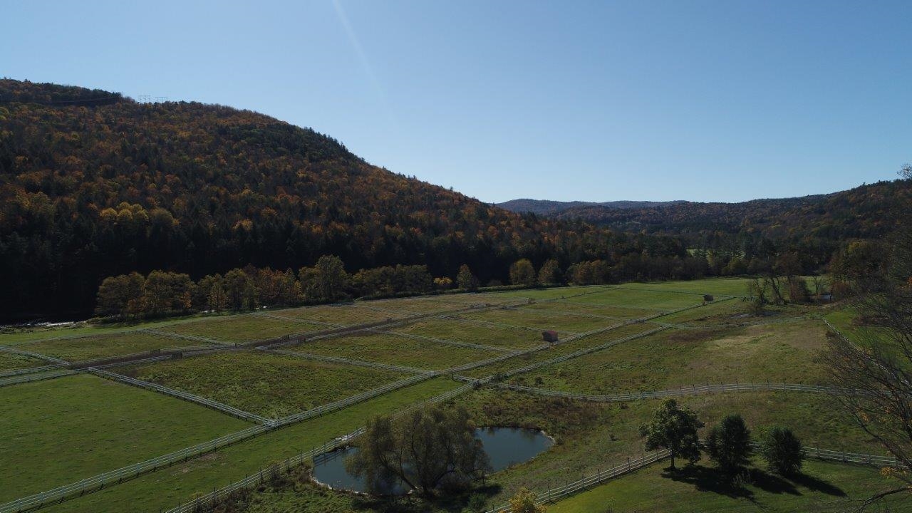 322 River Road Newfane, VT 05345 - Photo 3 of 40