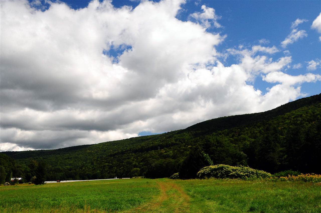322 River Road Newfane, VT 05345 - Photo 35 of 40