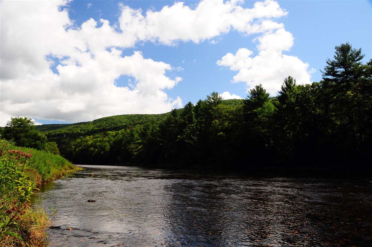 322 River Road Newfane, VT 05345 - Photo 37 of 40