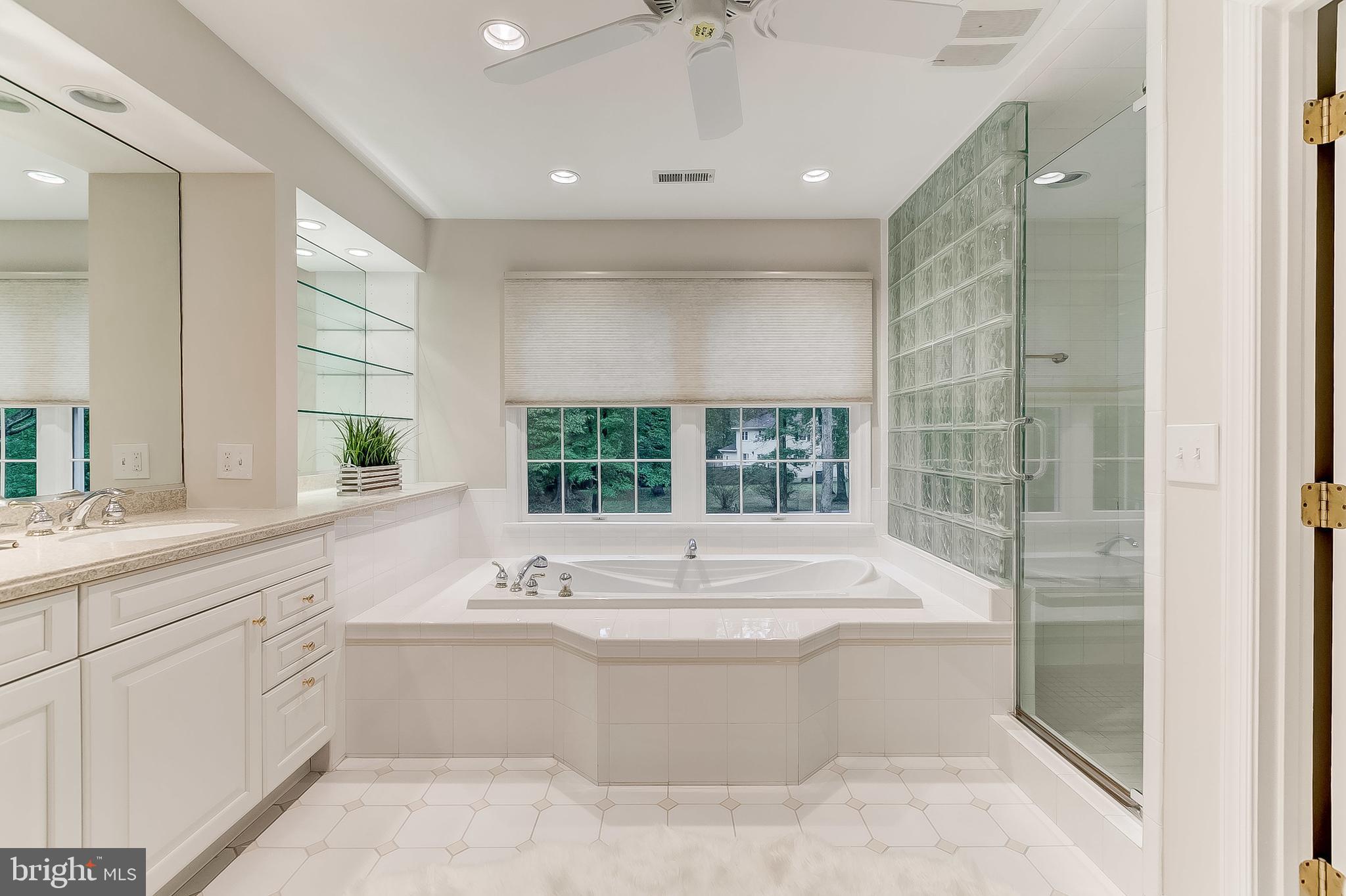 1603 Ridout Road Annapolis, MD 21409 - Photo 29 of 47 Expansive master bathroom