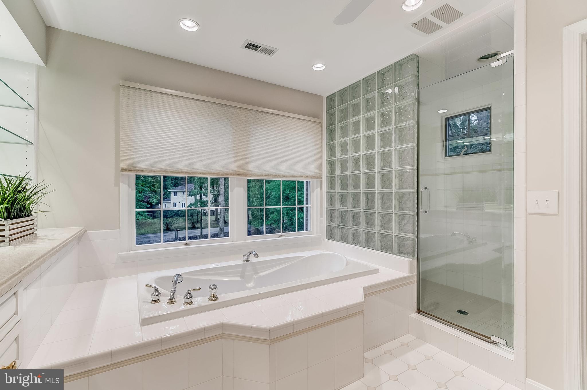 1603 Ridout Road Annapolis, MD 21409 - Photo 30 of 47 Lovely jetted tub and large shower