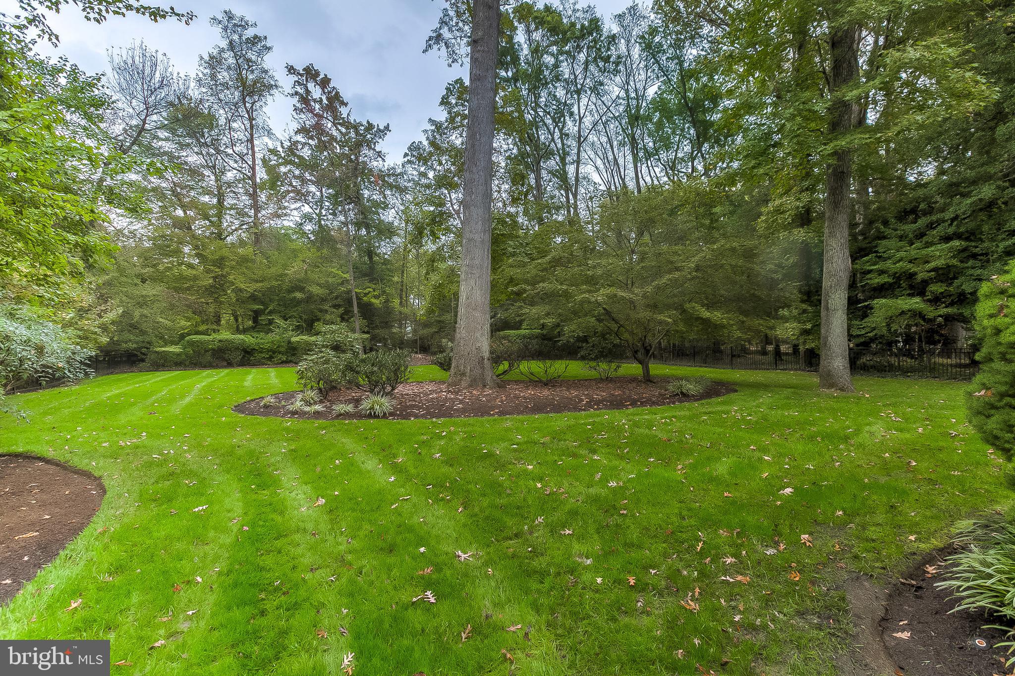 1603 Ridout Road Annapolis, MD 21409 - Photo 42 of 47 Gorgeous landscaped back yard