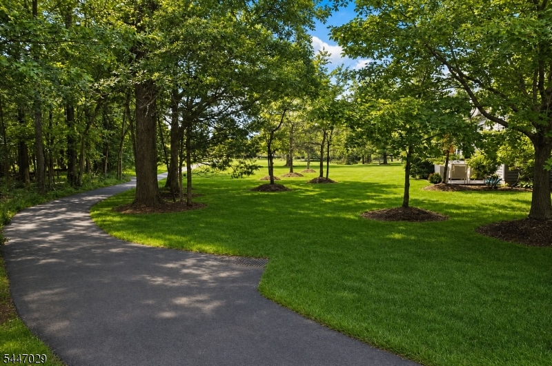 298 Greenfield Road Bridgewater, NJ 08807 - Photo 15 of 18