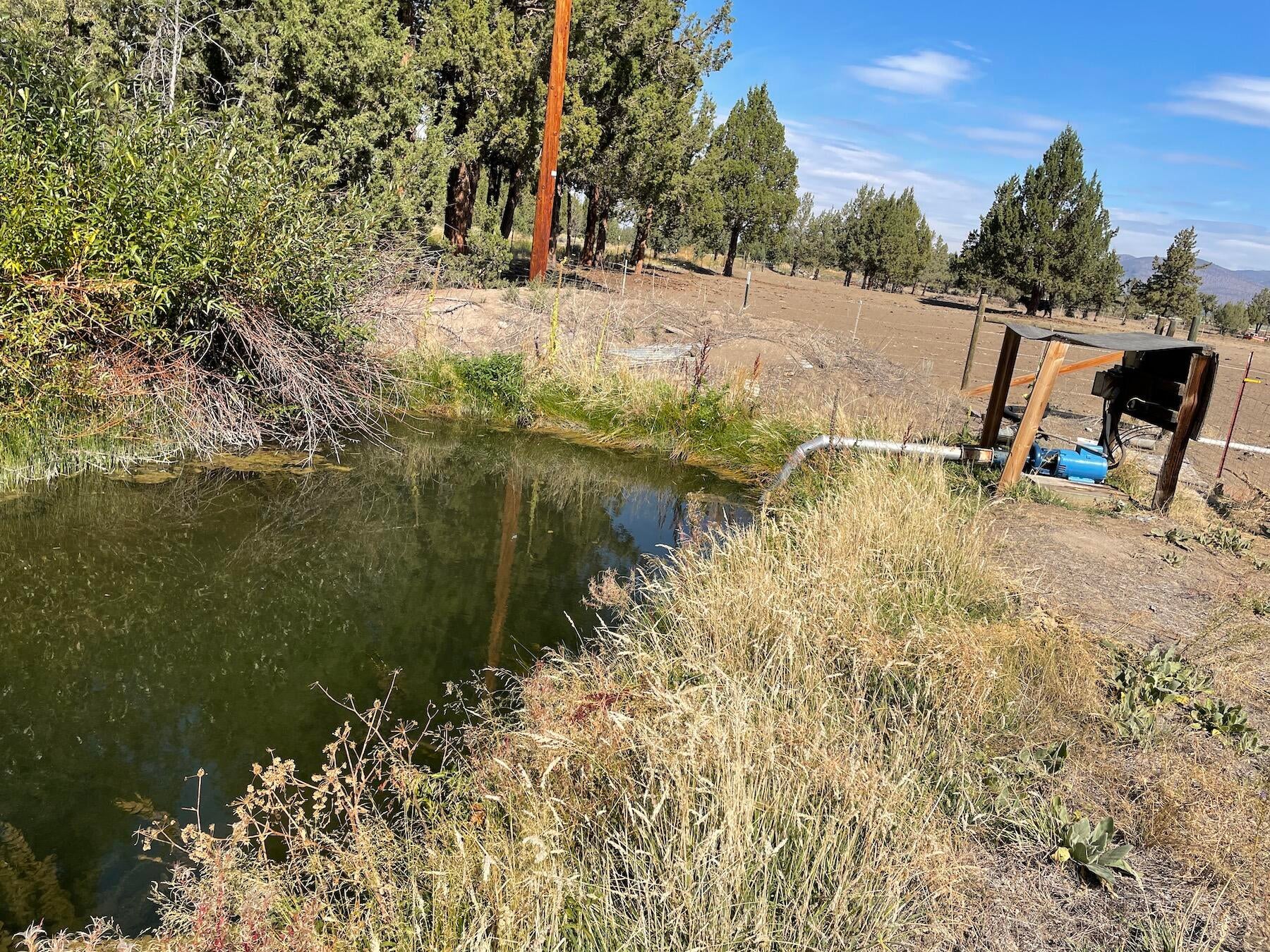 62955 Johnson Ranch Road Bend, OR 97701 - Photo 7 of 8 Ktz Pond2