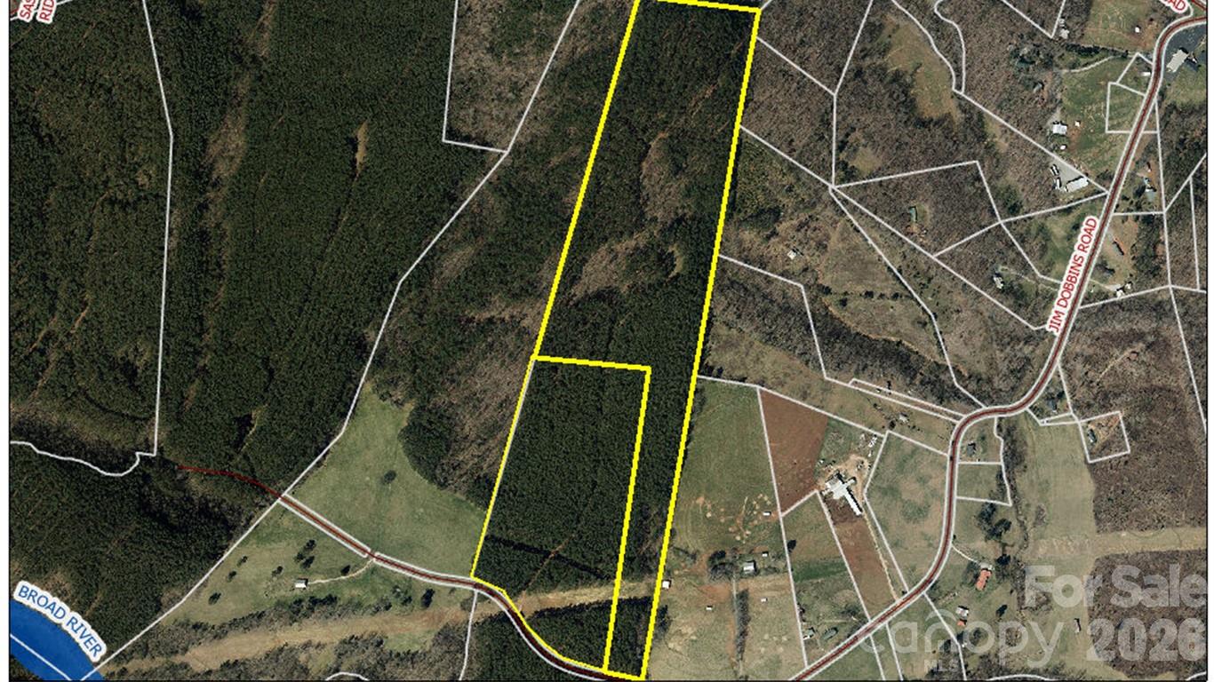 0 Jim Dobbins Road Rutherfordton, NC 28139 - Photo 3 of 39