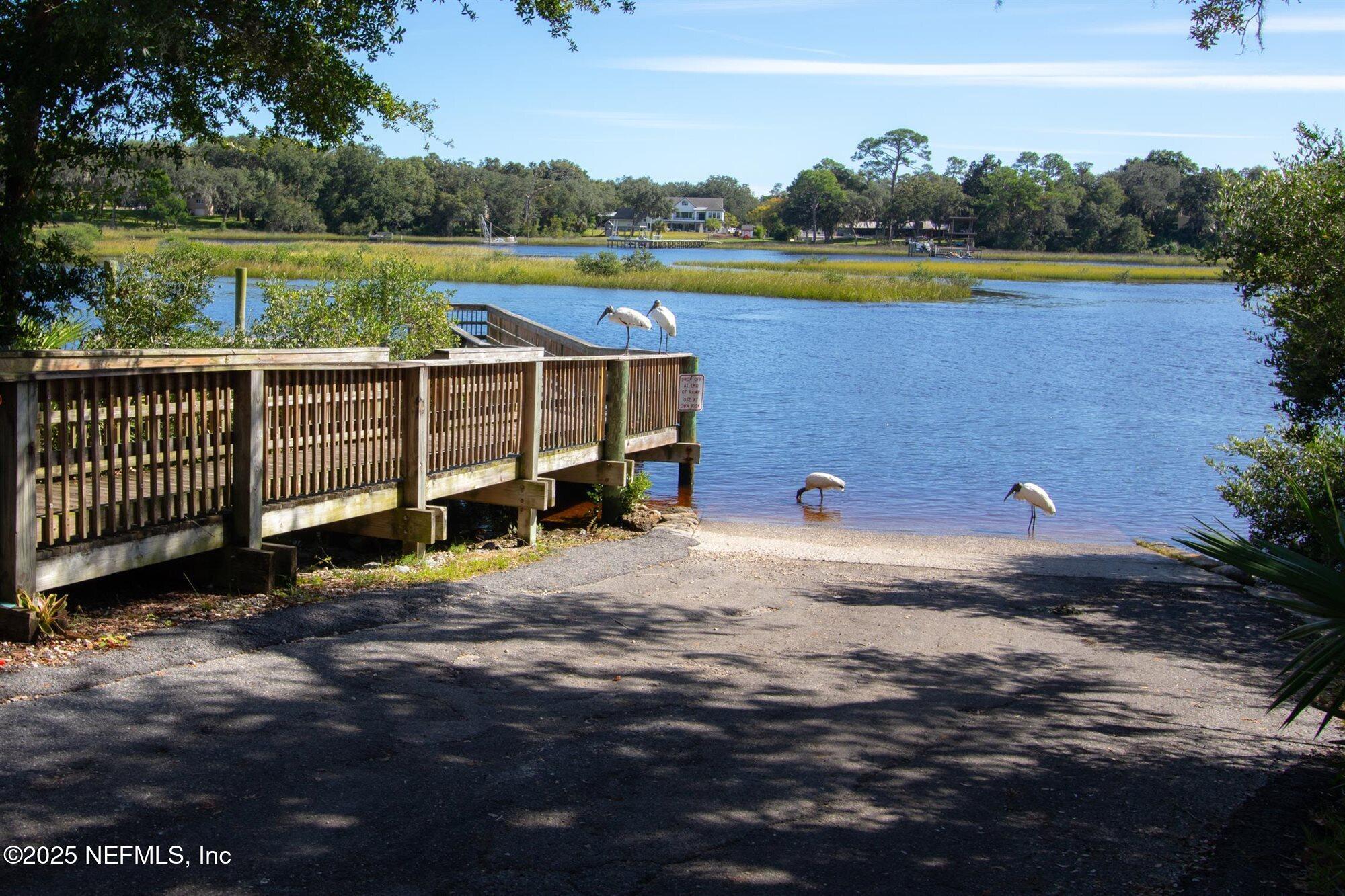 113 Mohegan Road St. Augustine, FL 32086 - Photo 43 of 56 a view of swimming pool with lawn chairs and plants