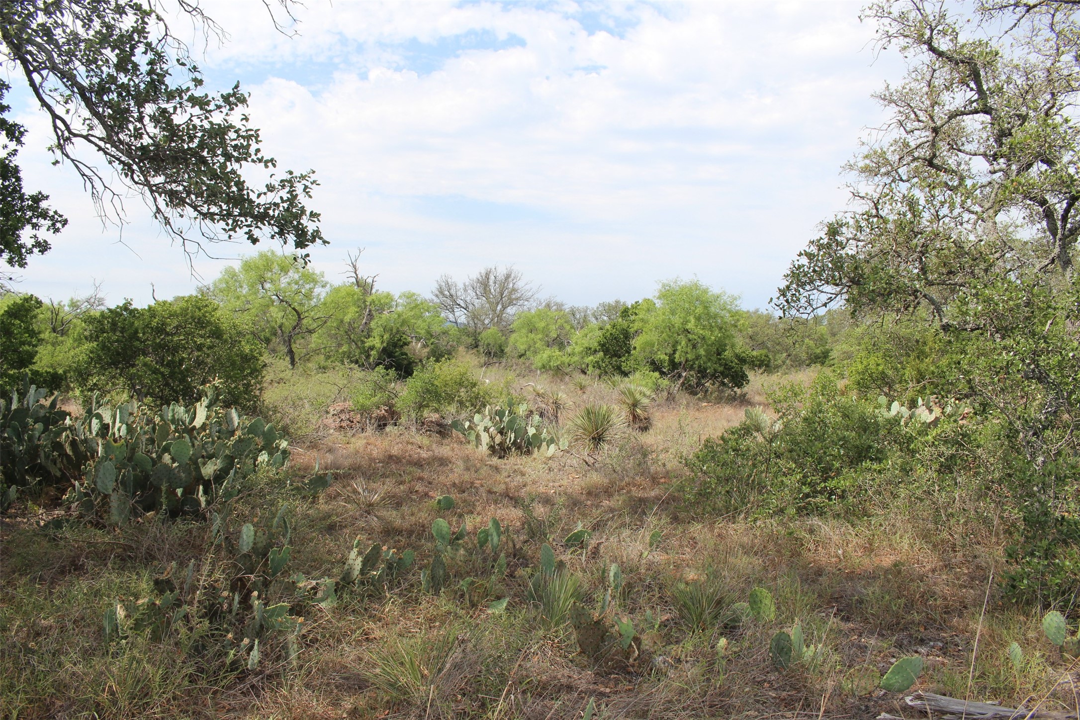 0 Tx-29 Highway Llano, TX 78643 - Photo 1 of 18 a view of a forest with trees