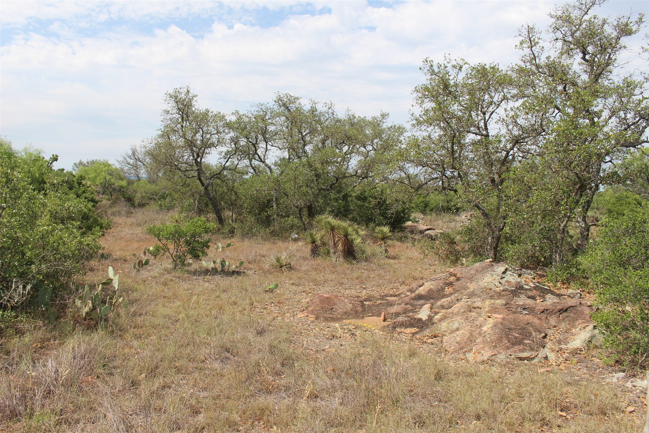 0 Tx-29 Highway Llano, TX 78643 - Photo 6 of 18 a view of a forest with trees in the background