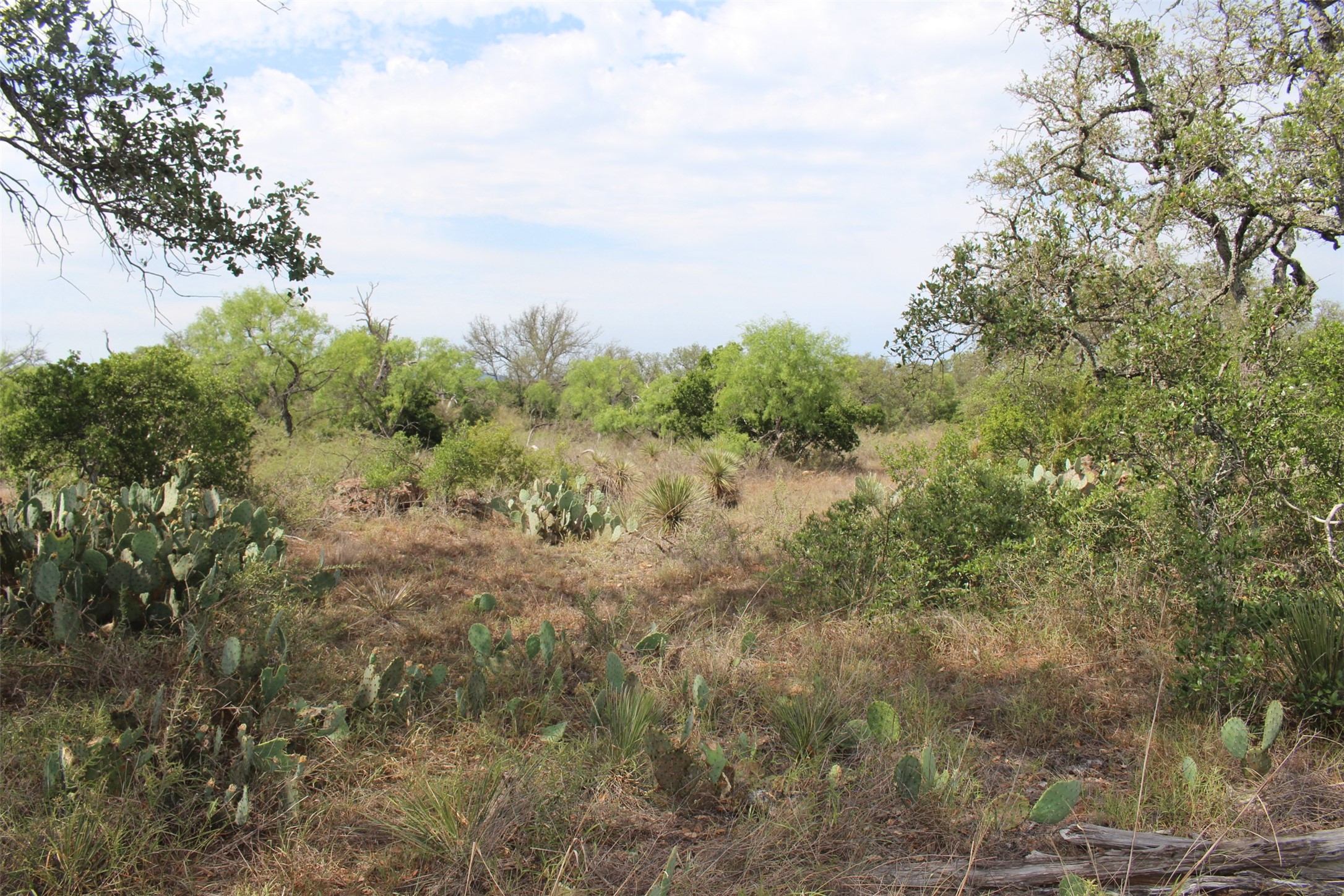 0 Tx-29 Highway Llano, TX 78643 - Photo 10 of 18 a view of a field of grass and trees