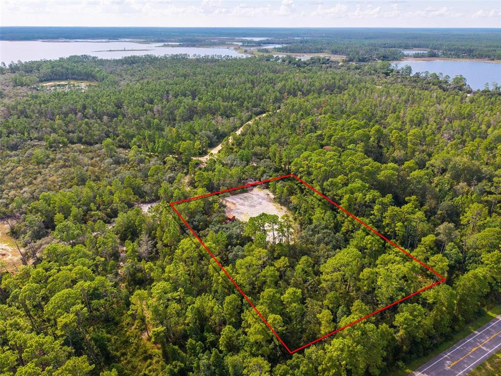 52215 Highway 19 Altoona, FL 32702 - Photo 2 of 15 a view of a lush green forest with trees and some houses