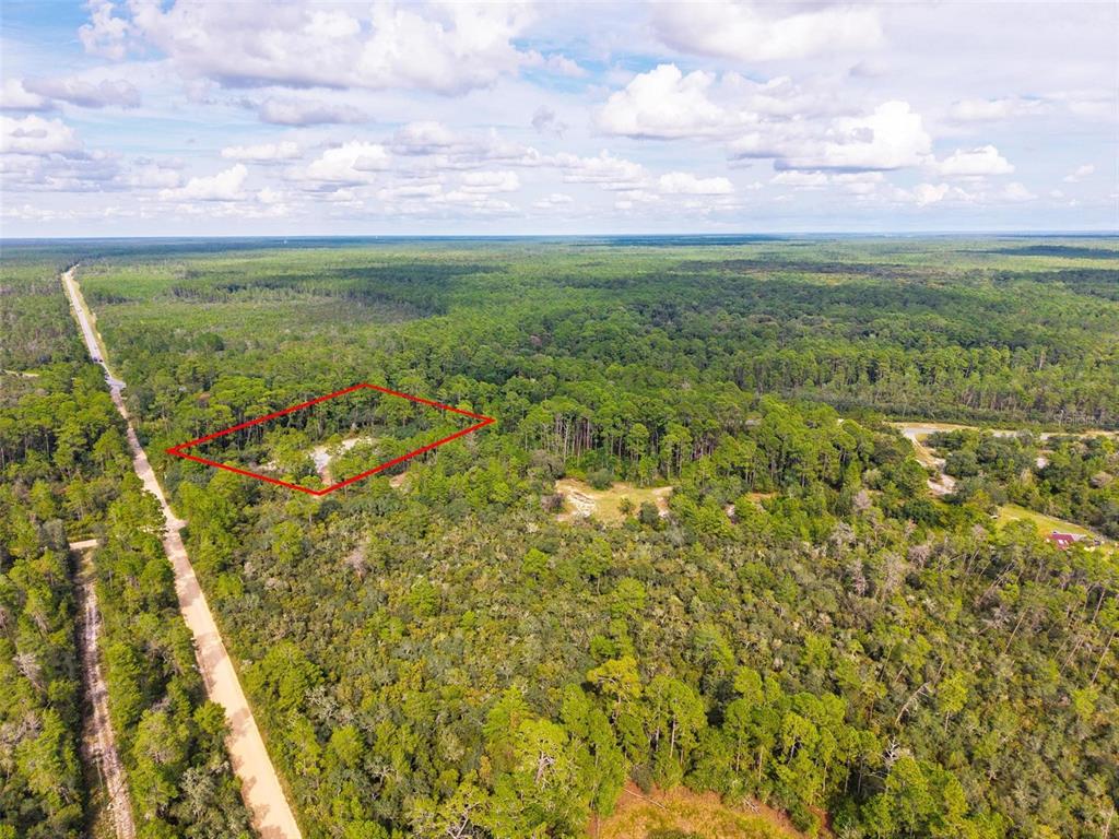 52215 Highway 19 Altoona, FL 32702 - Photo 6 of 15 a view of a yard with an outdoor space