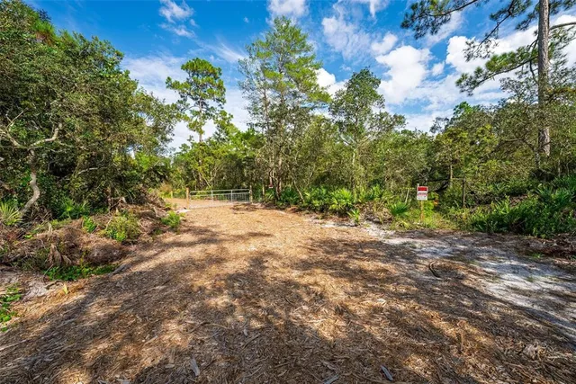a view of road with large trees