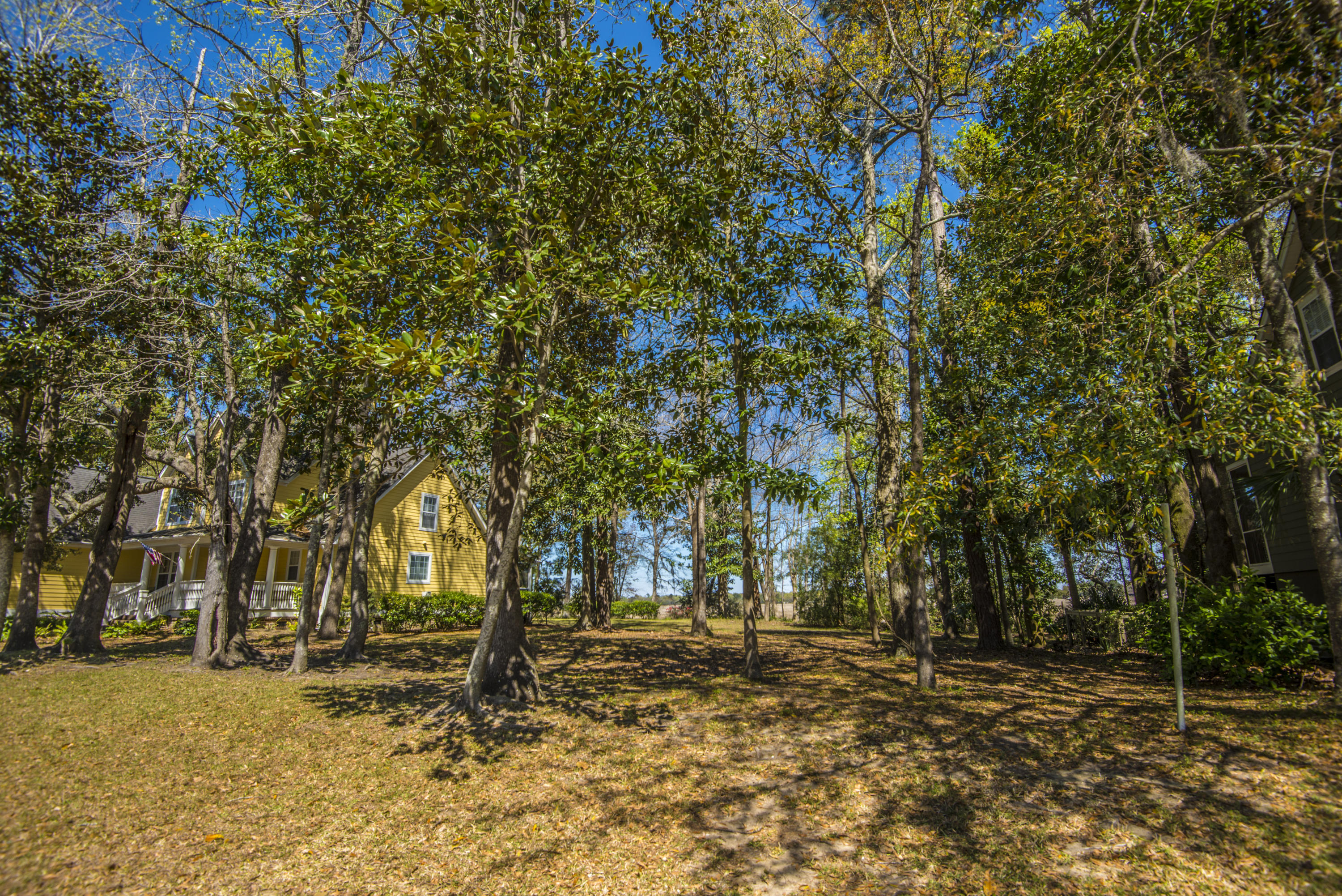 410 Rhett Butler Drive Charleston, SC 29414 - Photo 1 of 26 _DSC5183