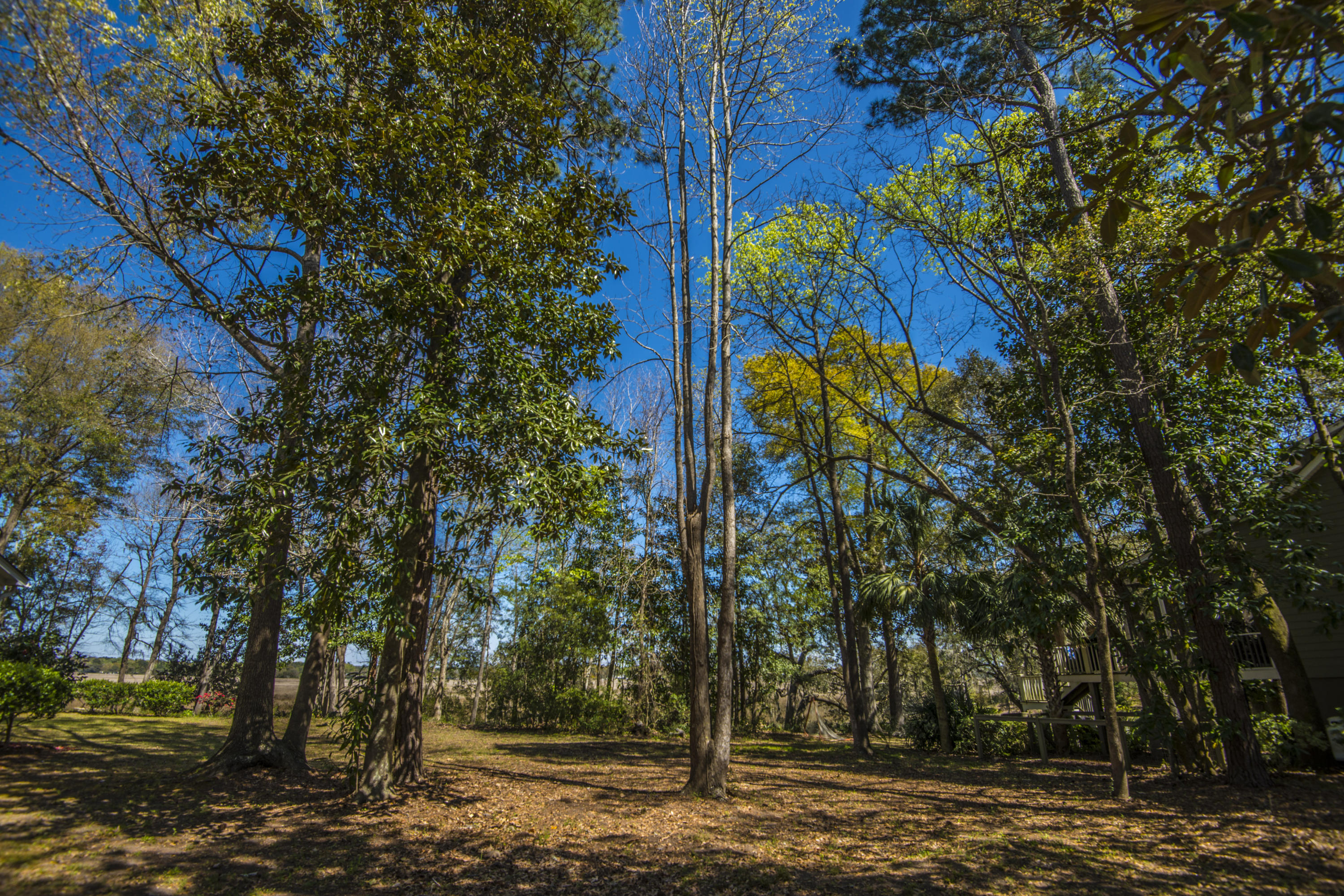 410 Rhett Butler Drive Charleston, SC 29414 - Photo 11 of 26 _DSC5185