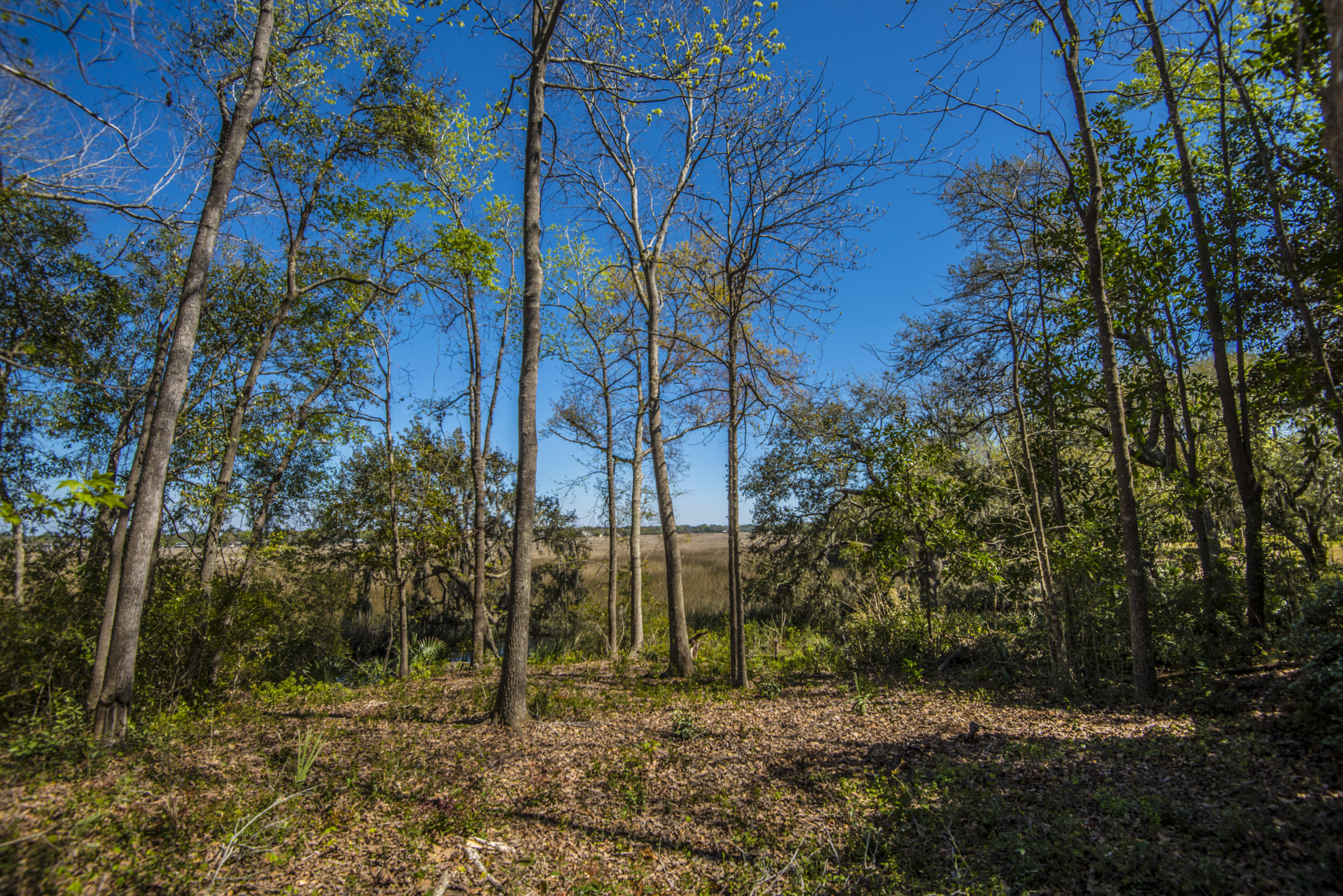 410 Rhett Butler Drive Charleston, SC 29414 - Photo 14 of 26 _DSC5191