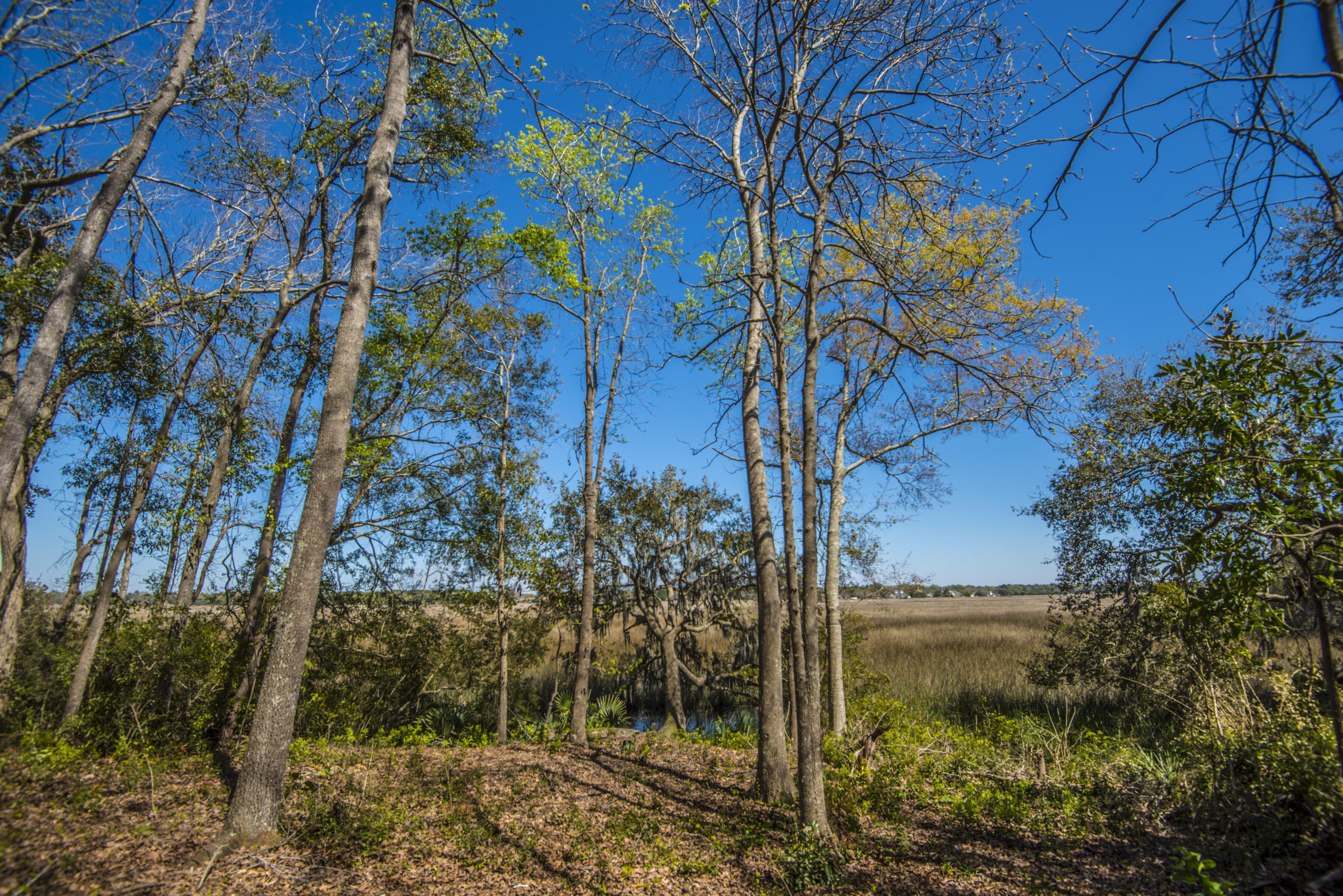 410 Rhett Butler Drive Charleston, SC 29414 - Photo 15 of 26 _DSC5192