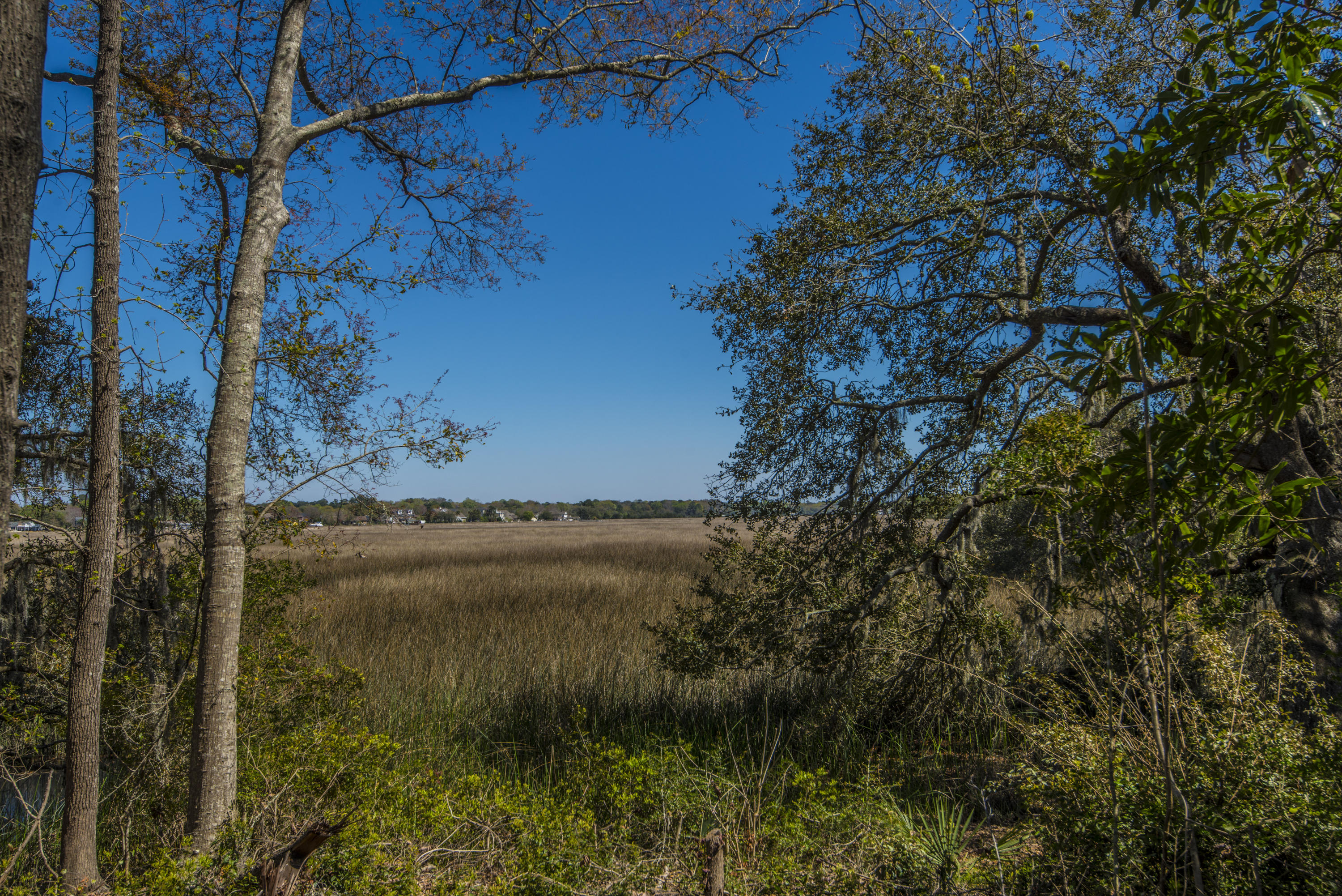 410 Rhett Butler Drive Charleston, SC 29414 - Photo 16 of 26 _DSC5193