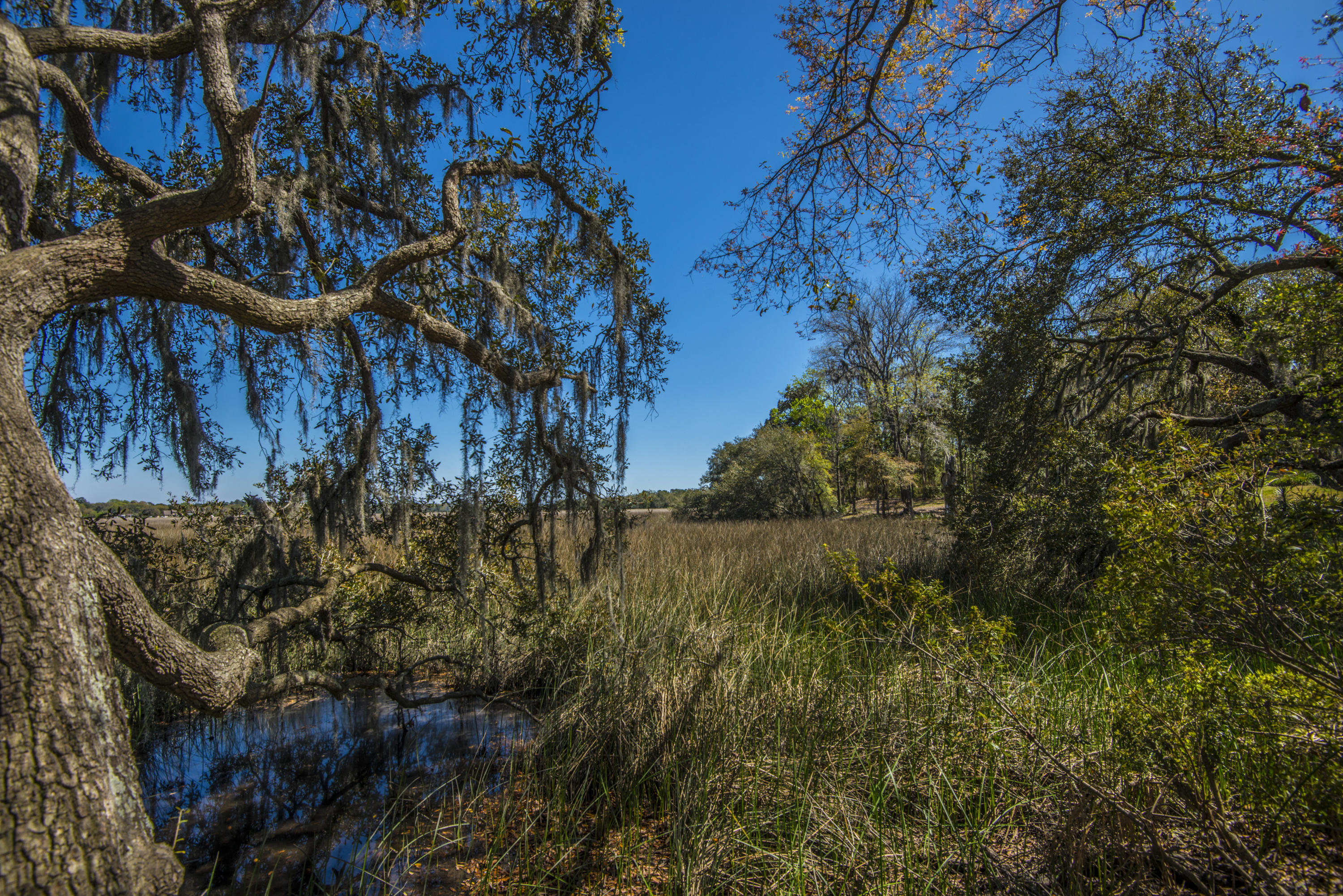 410 Rhett Butler Drive Charleston, SC 29414 - Photo 19 of 26 _DSC5197
