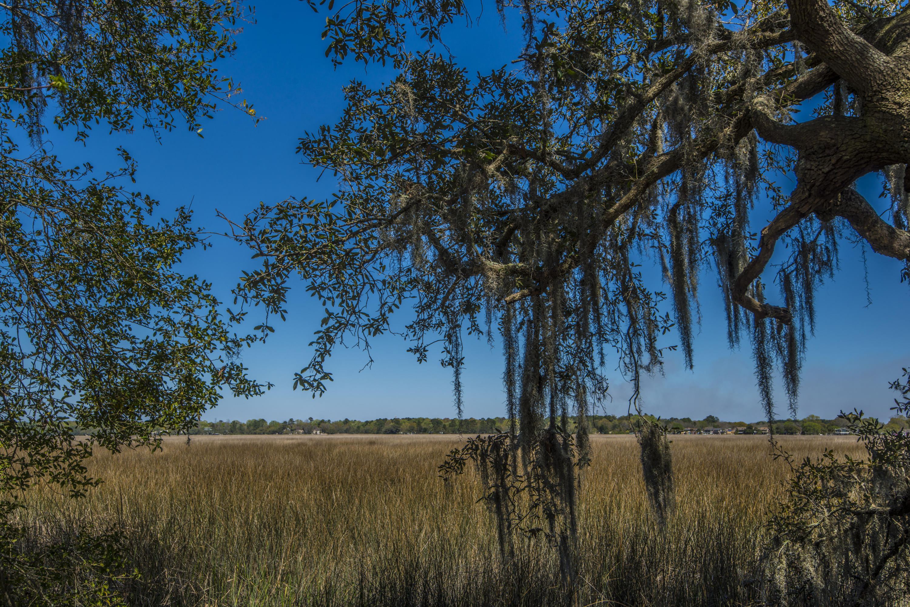 410 Rhett Butler Drive Charleston, SC 29414 - Photo 20 of 26 _DSC5198