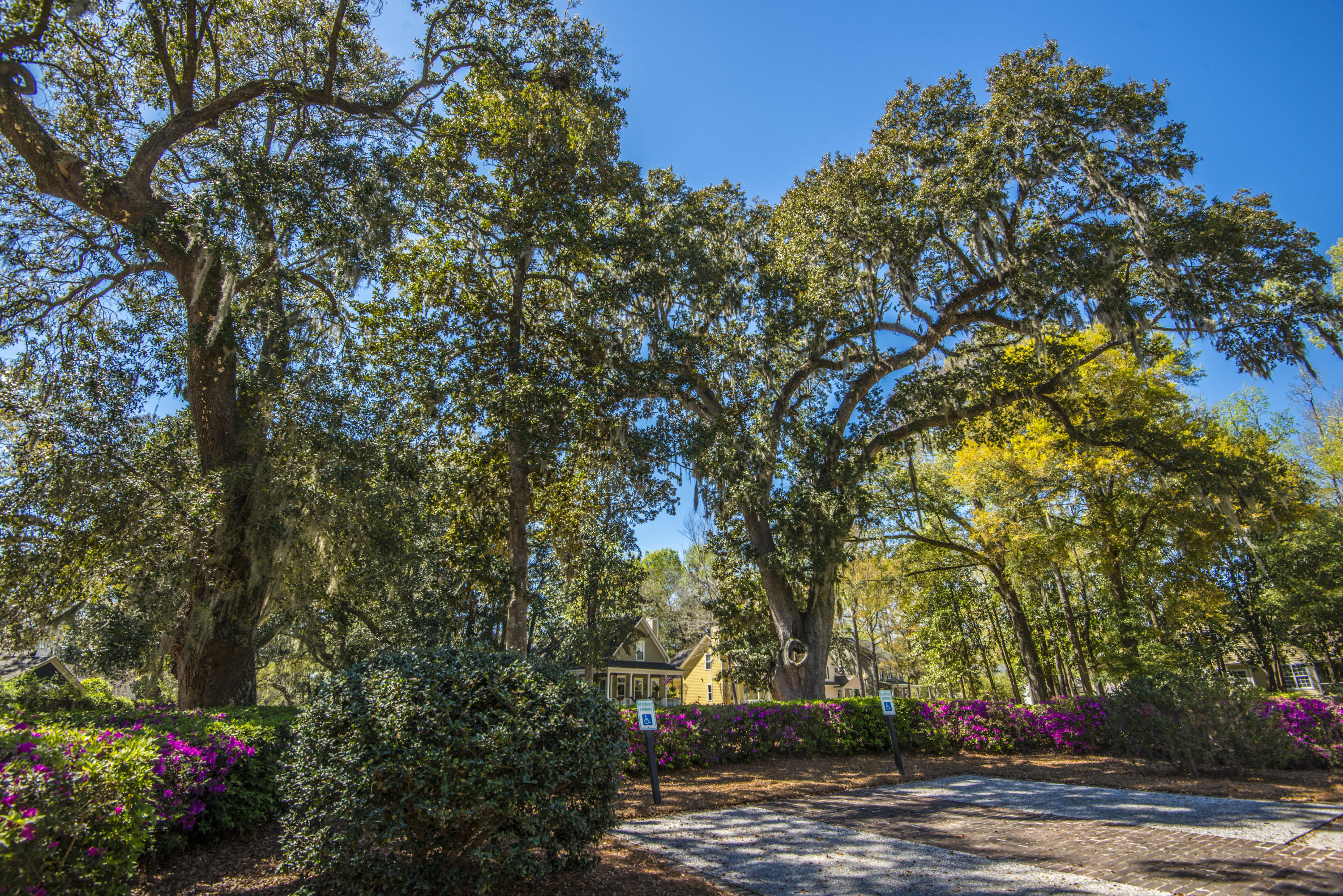 410 Rhett Butler Drive Charleston, SC 29414 - Photo 23 of 26 _DSC5219