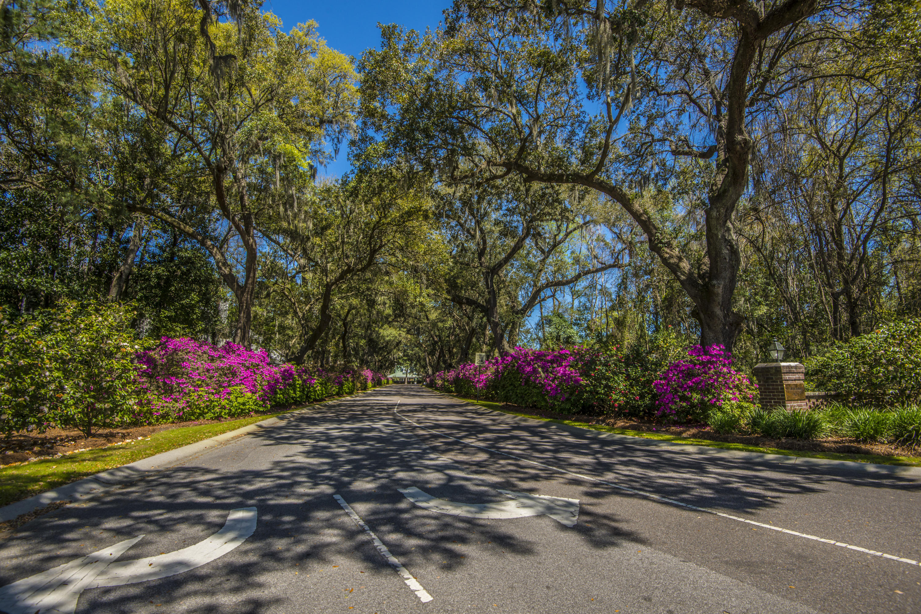 410 Rhett Butler Drive Charleston, SC 29414 - Photo 24 of 26 _DSC5223