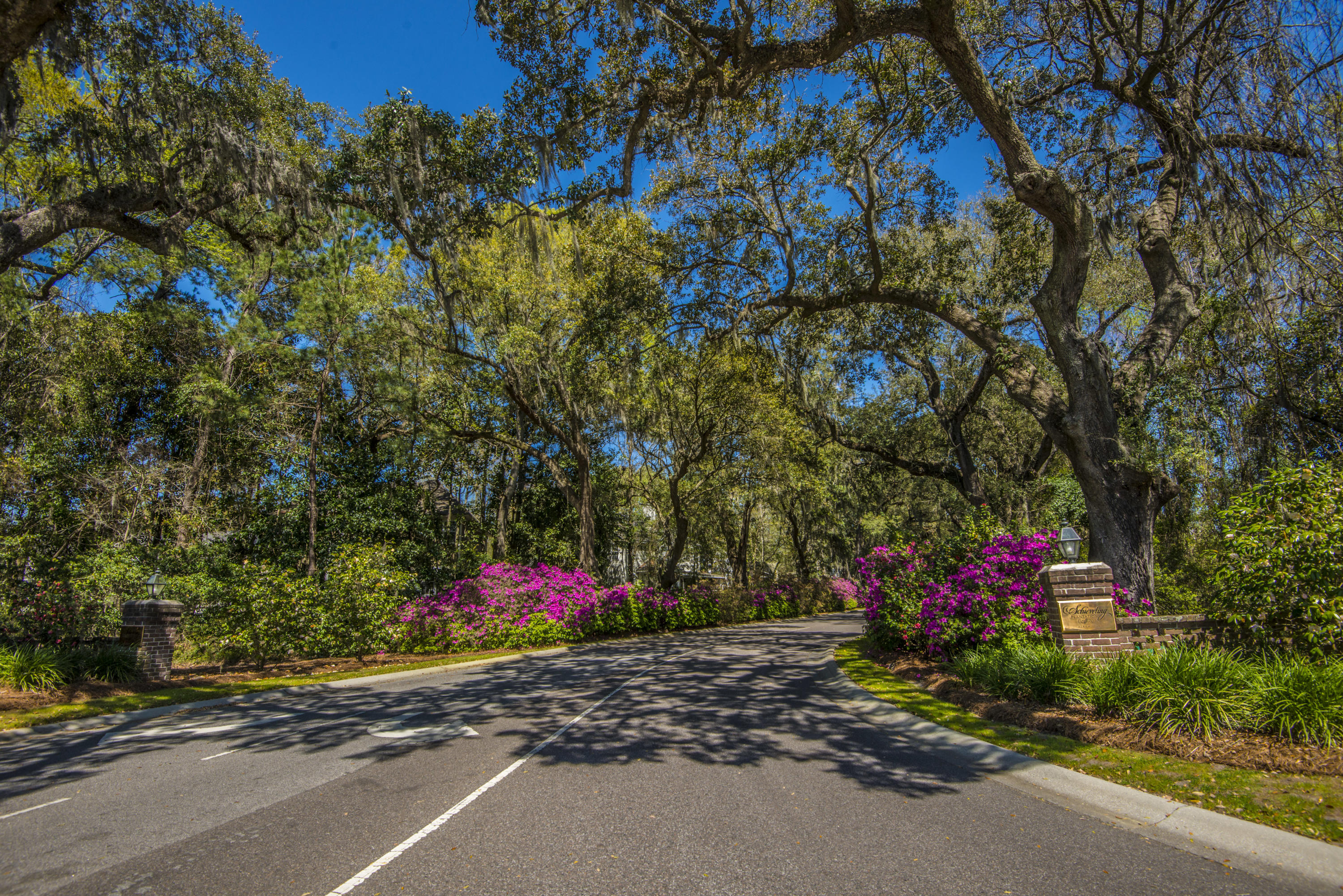 410 Rhett Butler Drive Charleston, SC 29414 - Photo 25 of 26 _DSC5222