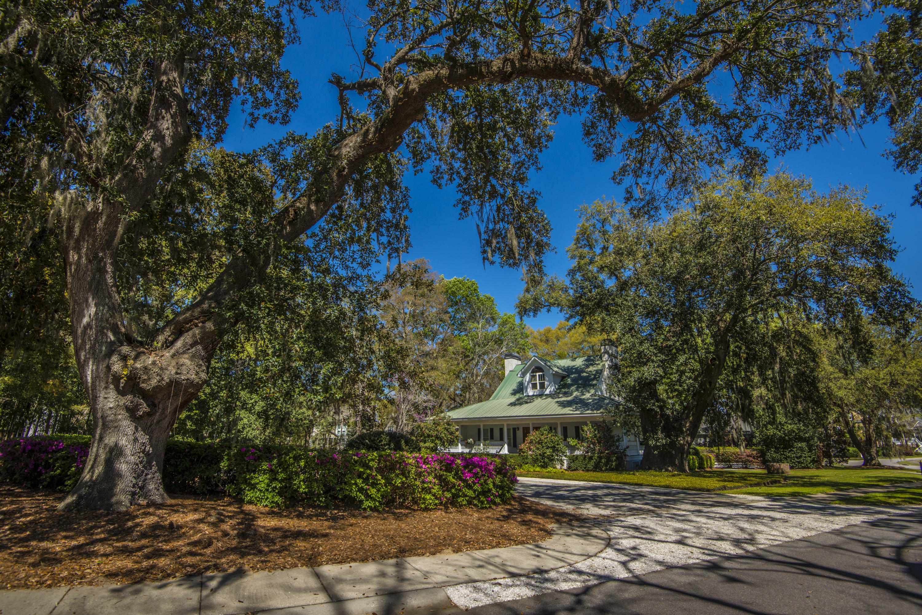 410 Rhett Butler Drive Charleston, SC 29414 - Photo 4 of 26 _DSC5209