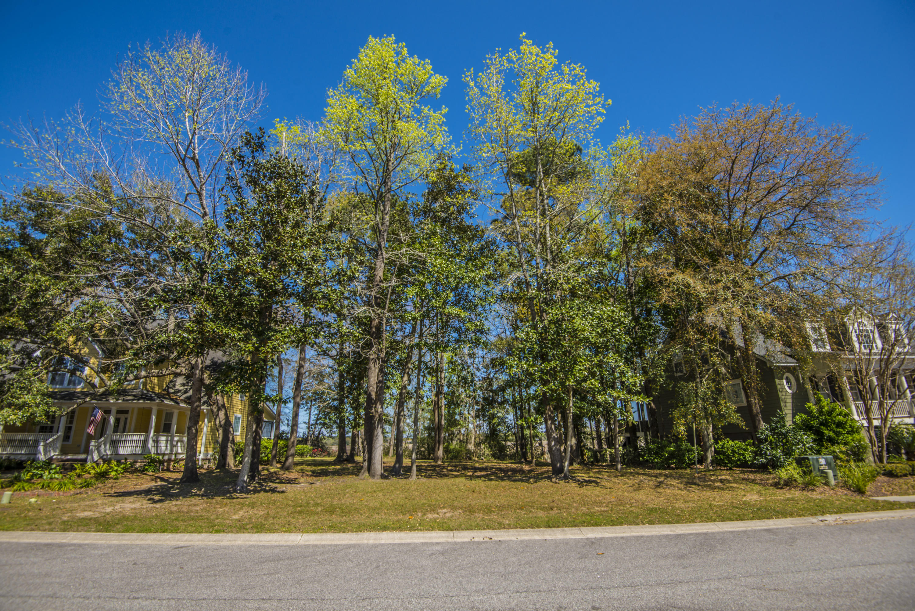 410 Rhett Butler Drive Charleston, SC 29414 - Photo 9 of 26 _DSC5181