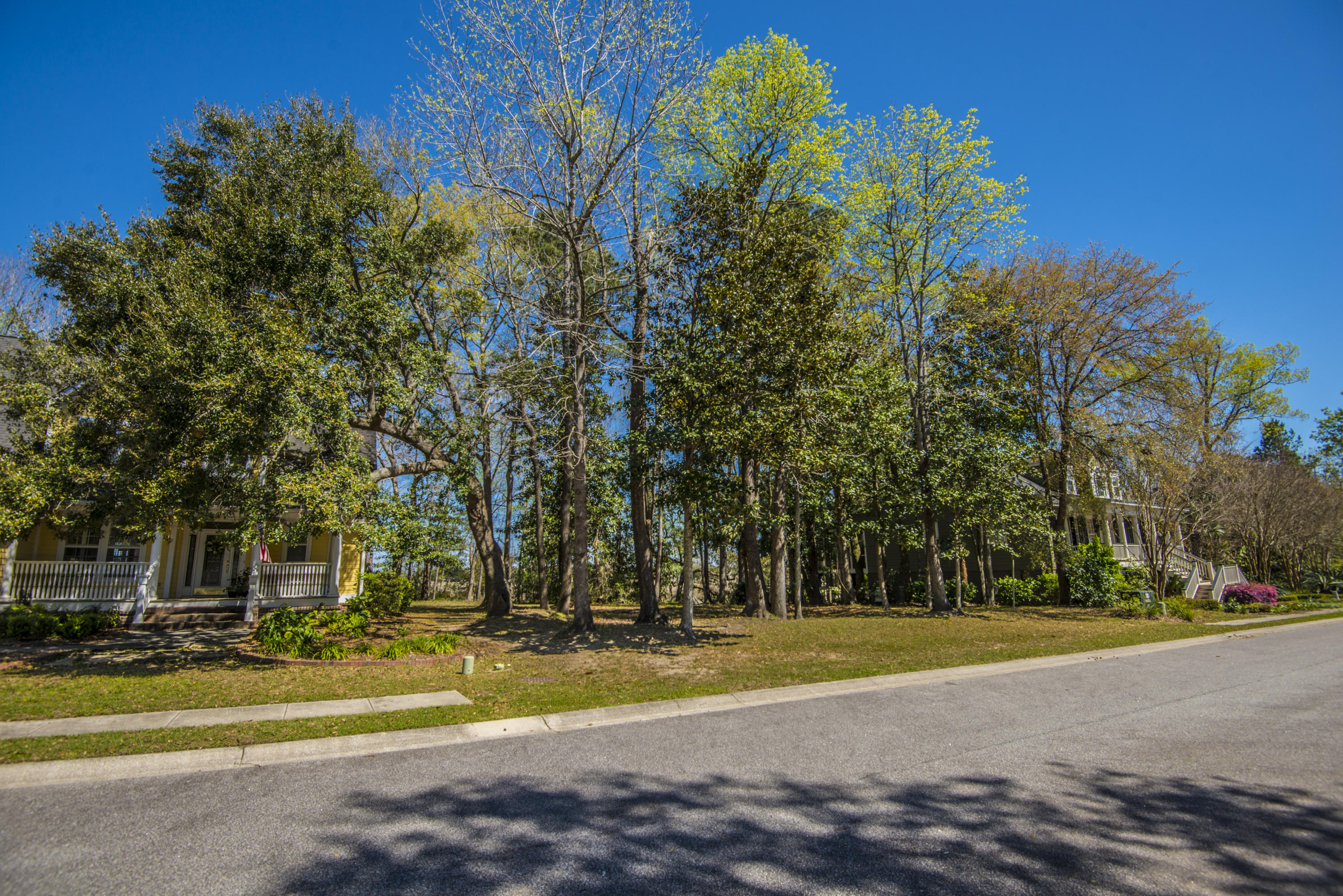 410 Rhett Butler Drive Charleston, SC 29414 - Photo 10 of 26 _DSC5180