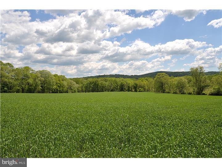 3895 Funks Mill Road Riegelsville, PA 18077 - Photo 4 of 25