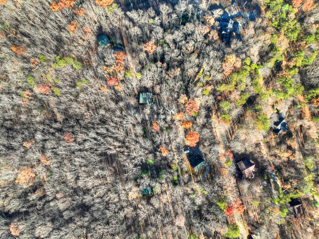 22 Running Bear Ridge Blue Ridge, GA 30513 - Photo 58 of 60 Drone shot