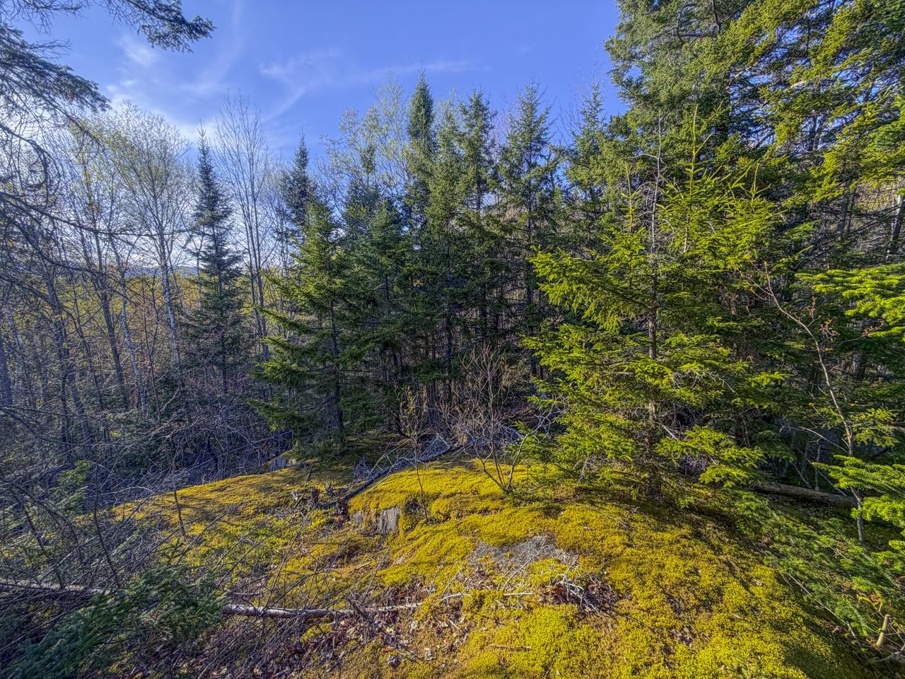 138 Fairview Road Warren, VT 05674 - Photo 54 of 59 Gallery Image 54