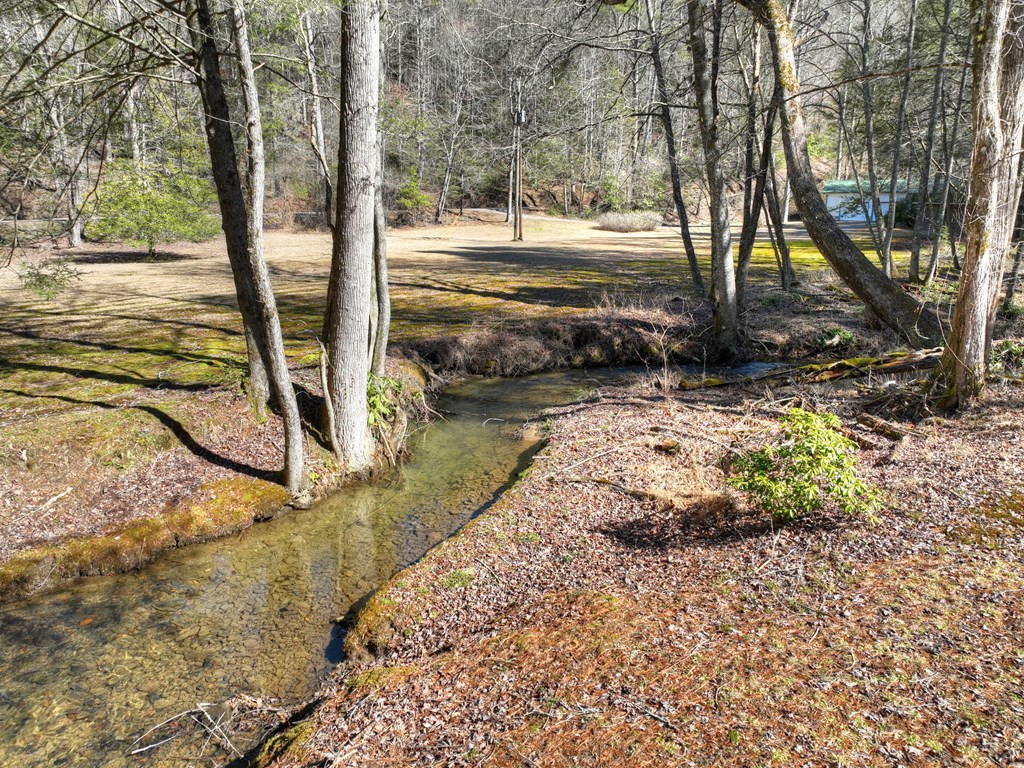 7233 Shakerag Road Ellijay, GA 30540 - Photo 55 of 121