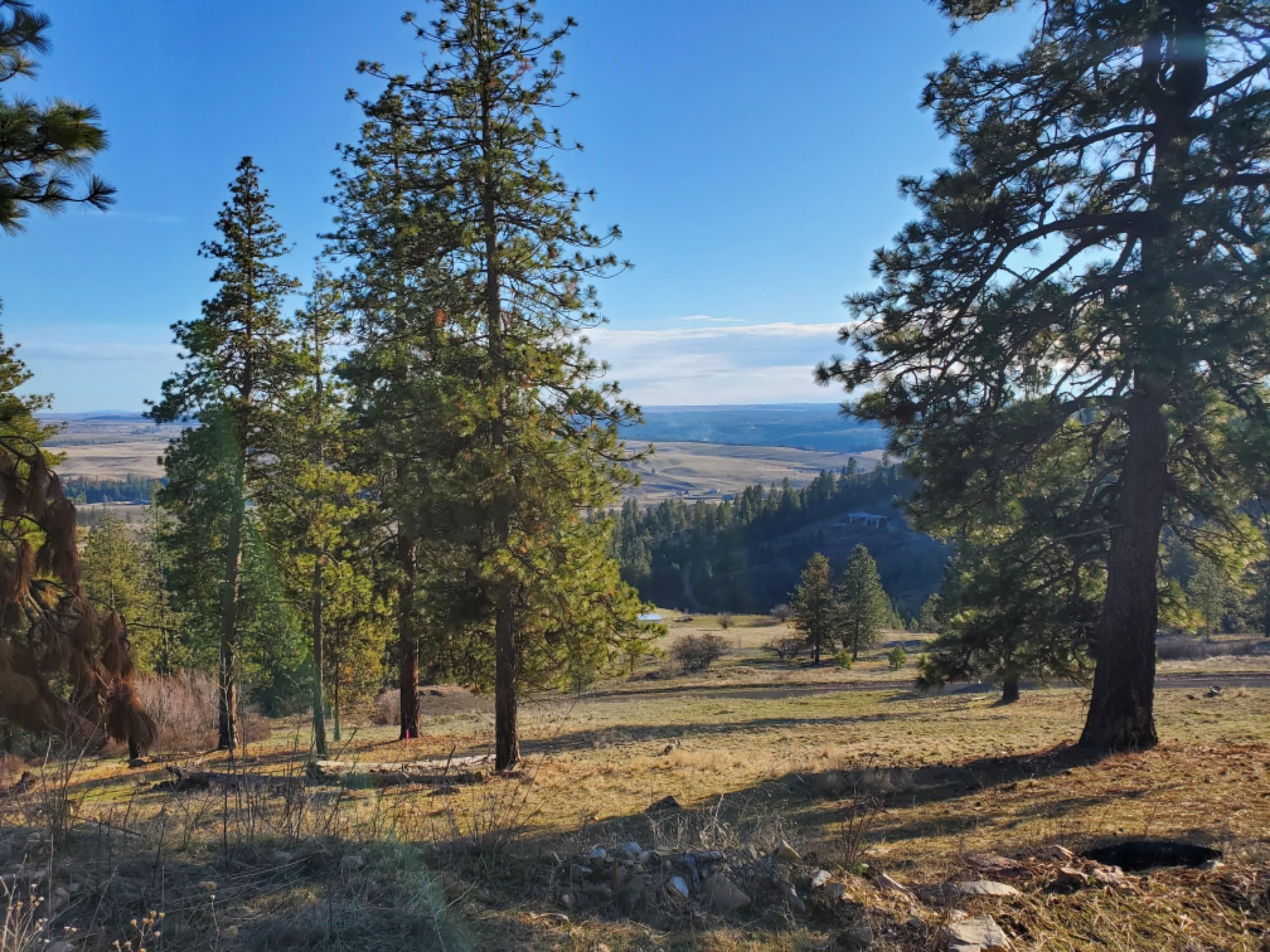 65-xx East Big Rock Road Spokane, WA 99223 - Photo 4 of 8 Gallery Image 4
