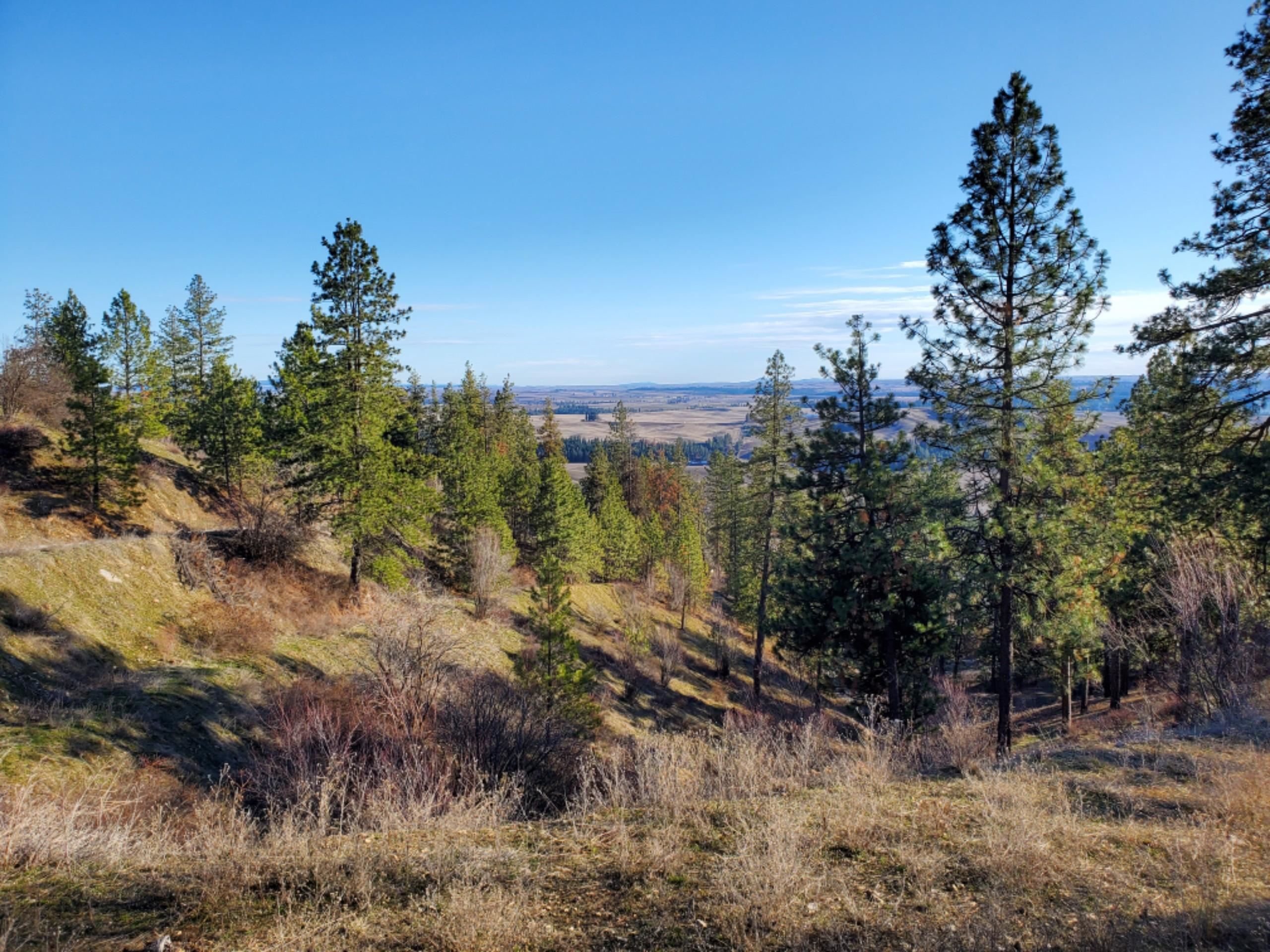 65-xx East Big Rock Road Spokane, WA 99223 - Photo 8 of 8 Gallery Image 8