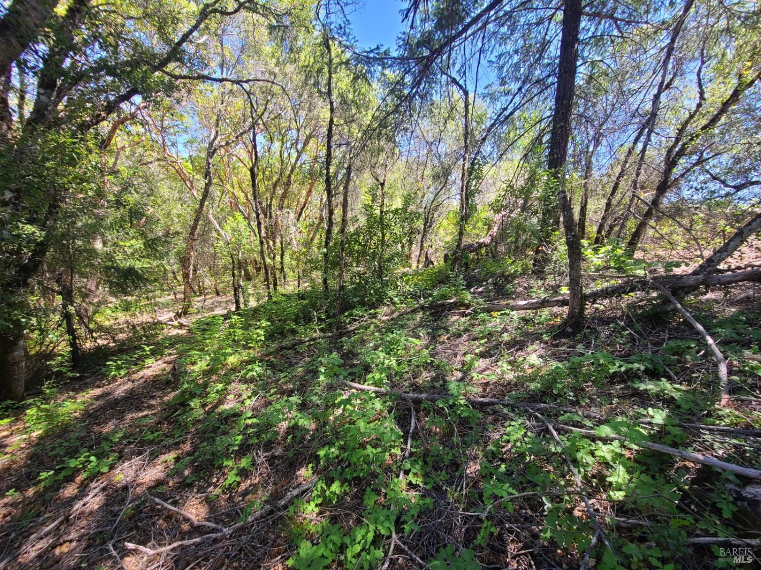 0 Etsel Ridge Road Covelo, CA 95428 - Photo 12 of 18