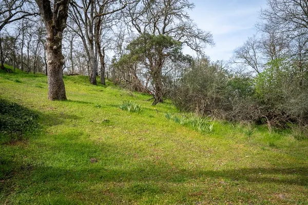 $75,000 | 0 Boarman, Jackson, CA 95642