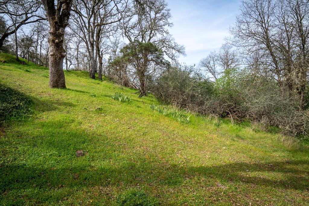 0 Boarman Jackson, CA 95642 - Photo 2 of 5