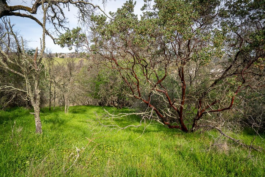 0 Boarman Jackson, CA 95642 - Photo 3 of 5