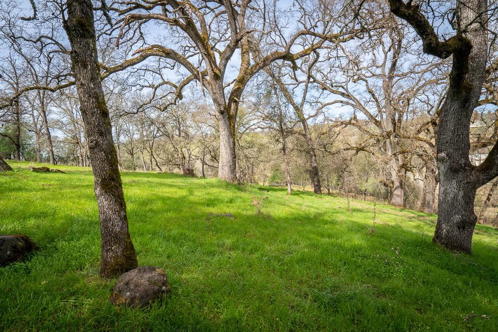 0 Boarman Jackson, CA 95642 - Photo 5 of 5