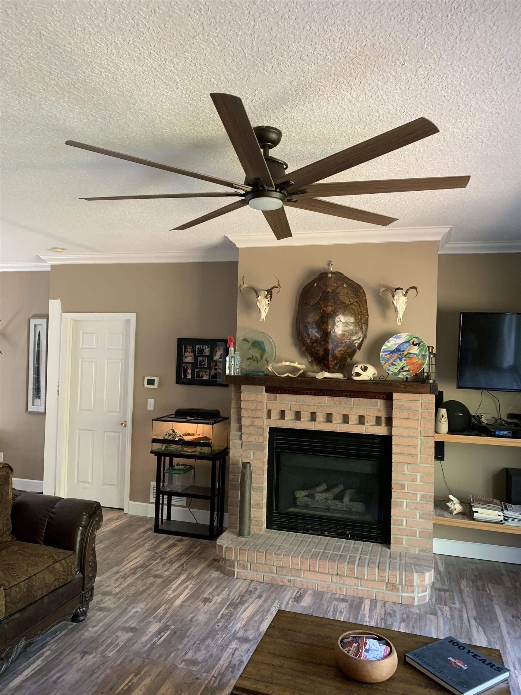 216 Raintree Trail St. Augustine, FL 32086 - Photo 36 of 53 Gallery Image 36