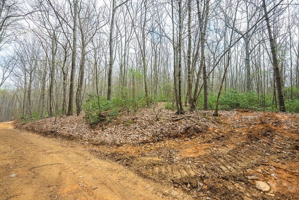 Tbd Cox Store Road Southwest Floyd, VA 24091 - Photo 10 of 27 Gallery Image 10