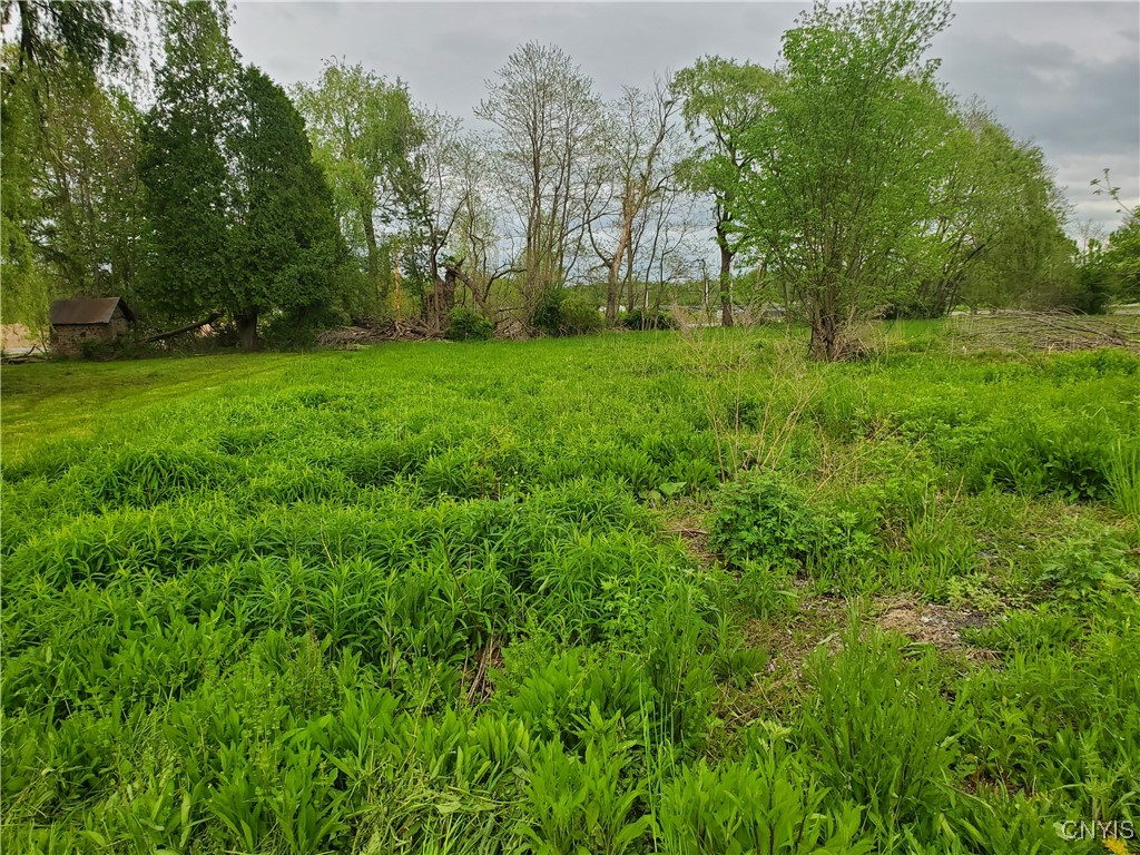 7805 Totman Road Cicero, NY 13212 - Photo 3 of 7